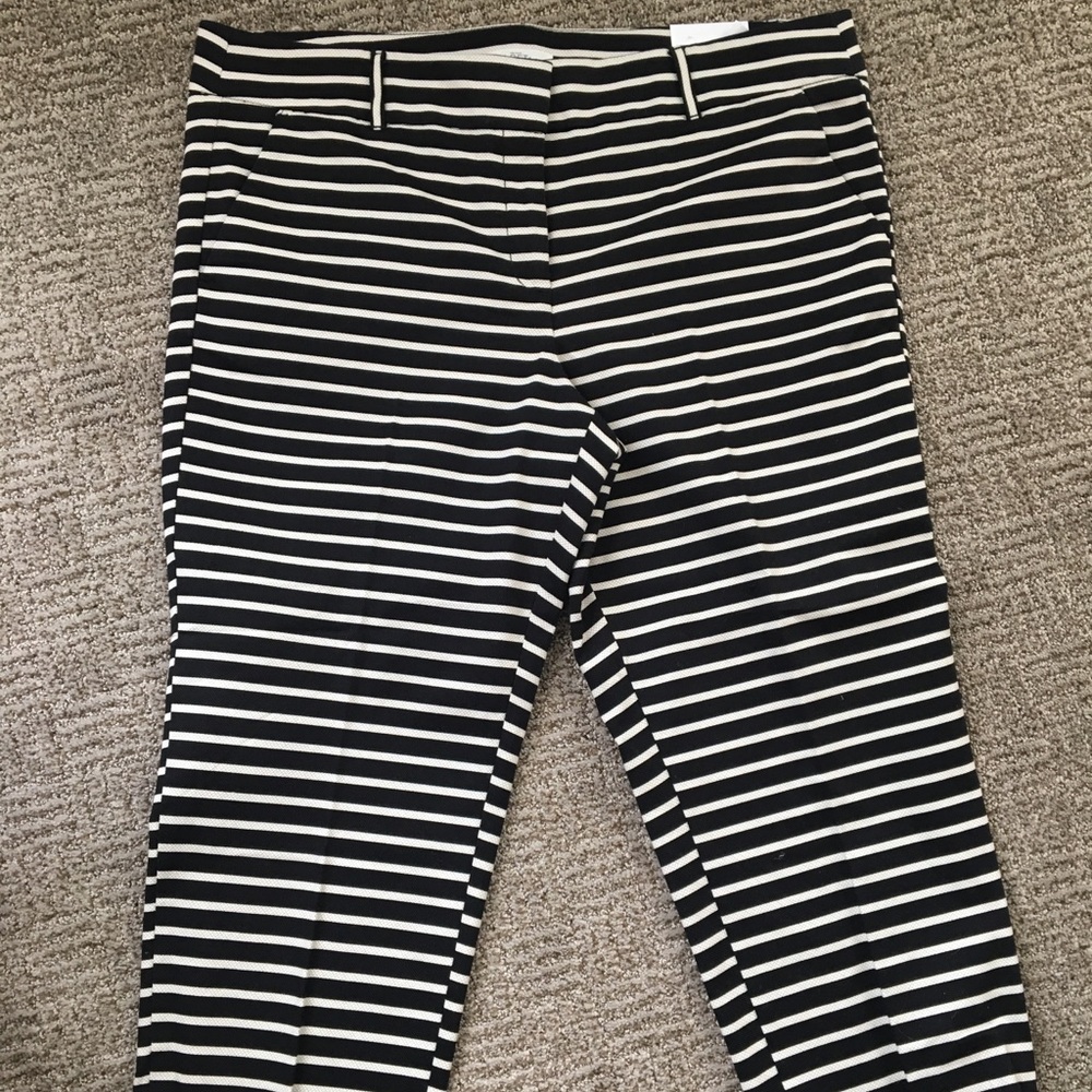 Loft Cropped NWT pants